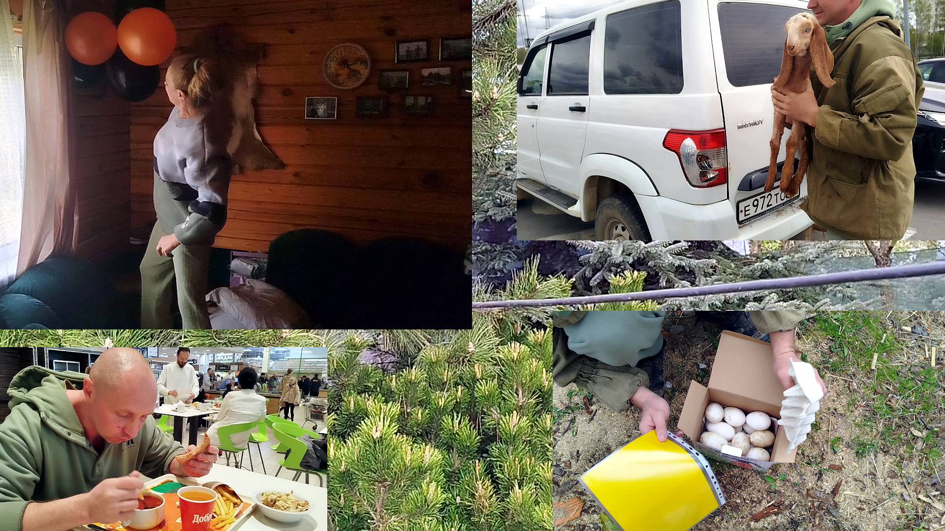 🤔🌷🌼🪻ГДЕ НАС ТОЛЬКО НЕ НОСИЛО смотреть онлайн