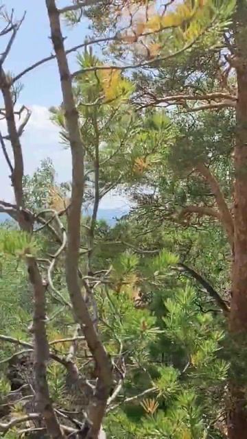 вид с горы Аблей. смотреть онлайн