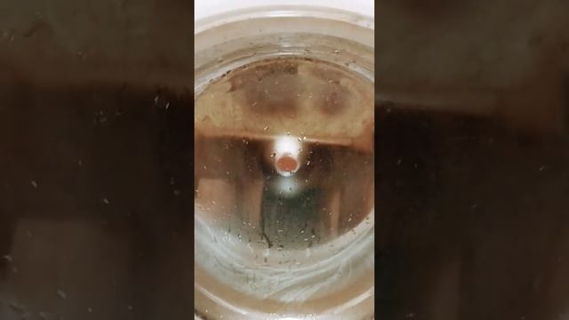 стирка на indesit белые вещи режим:деликатные ткани 40° 9 смотреть онлайн