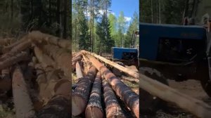 Толкатель Т-82.1 – малые грабли