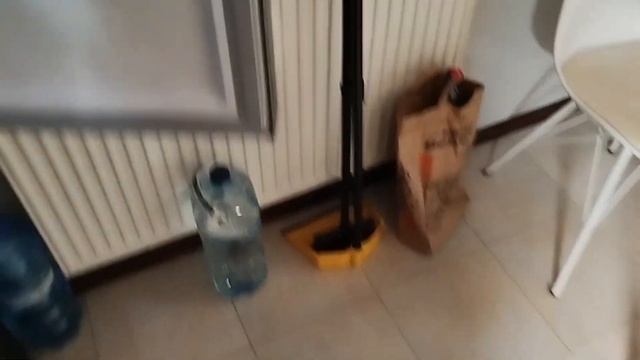 Лайтовый вечерок с котейками, сломали орхидею ни чего смотреть онлайн