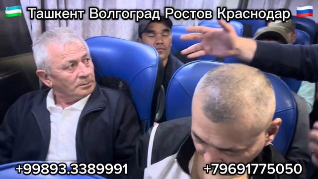 #ташкент #краснодар #автобус #ташкент #волгоград #автоб смотреть онлайн