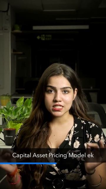 Capital Asset Pricing Model - What does it mean and what is it? смотреть онлайн