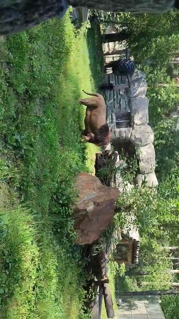 зоопарк имени Р.А.ШИЛО