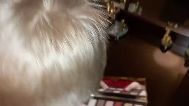 Фильм:про н8 автор:Г7 октёр:Н8 короткая,версия стоимост? смотреть онлайн