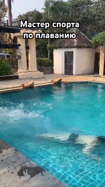 Мастер спорта #youtubeshorts #thailand #master смотреть онлайн