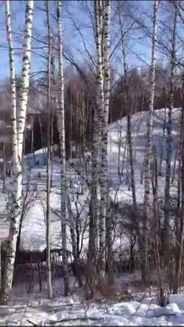 Срубили березы в плесе смотреть онлайн