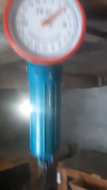 Вес тушки кролика (Белый Великан) в 4.5 мес. смотреть онлайн