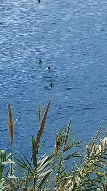 Турция Анталия 1декабря вид с Рамада, есть даже кто то ? смотреть онлайн