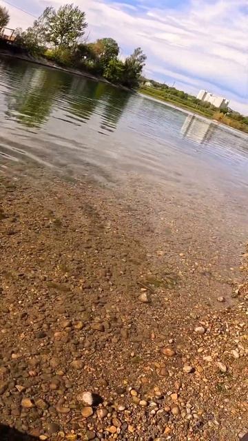 Елец на Gamakatsu LUXXE  Ten S48AL-solid. Мормышинг. #fishing #рыбалка #ten