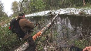 УДАЧА! ЗА БОЛОТОМ НАШЛИ ПОСЕЛЕНИЕ И СРАЗУ НАХОДКИ!