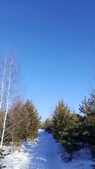 21.02.2024. Иркутск. смотреть онлайн