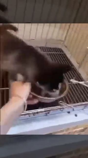 Я не ем после шести, поэтому важно успеть съесть все смотреть онлайн