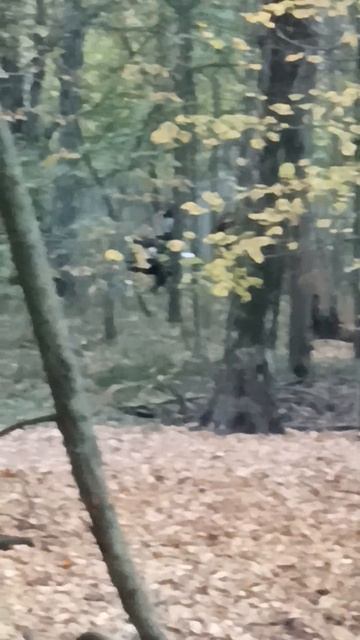 видео что находится в подвале дома будет в скором врем смотреть онлайн