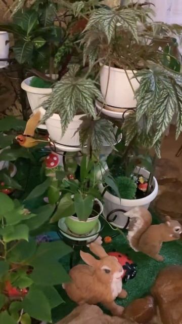 Комнатные цветы или уголок для цветов . #цветы #комнатн смотреть онлайн