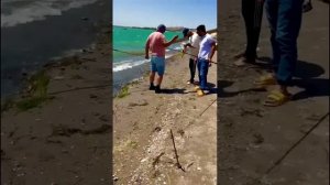 🎣 РЫБАЛКА НА САЗАНА В КАЙРОКУМЕ, ТАДЖИКИСТАН! 🐟🔥 КР?