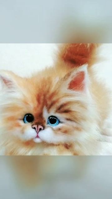 хорошо что у меня есть такие котики.Все согласны?!(2) смотреть онлайн