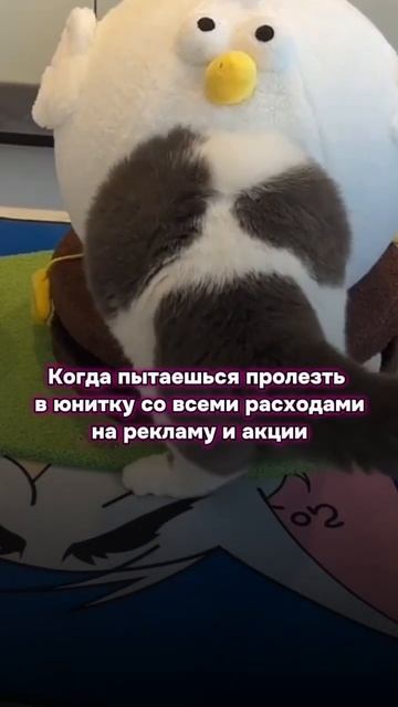 В описании ещё одна стратегия работы с акциями на WB и Oz