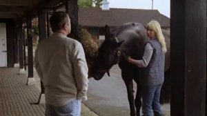 ЧИСТО АНГЛИЙСКИЕ УБИЙСТВА - "Идет человек с топором" 10 ?