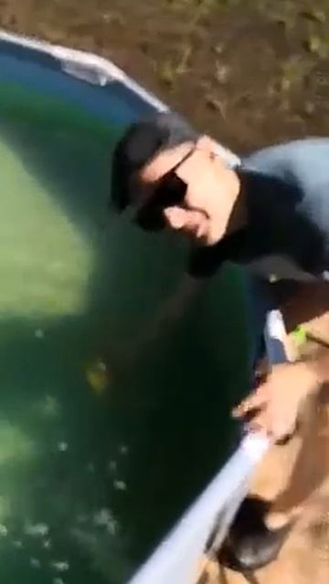 Чистим дно каркасного бассейна губкой за 50р смотреть онлайн