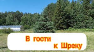 ДОМИК ШРЕКА В КИРОВСКОЙ ОБЛАСТИ