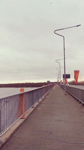 „Избрав цель, иди к ней всем сердцем.“  Конфуций смотреть онлайн