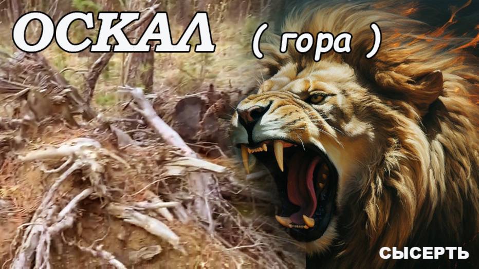 Оскал лесного царя. Сысерть