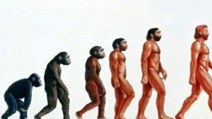 Эволюция мужчины / истории, рассказы, притчи, интересно, бидуин, обезьяна, труд, рост, возраст, топ