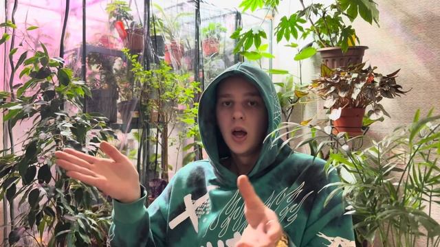 Основы цветоводства. Как выбрать растения ? смотреть онлайн