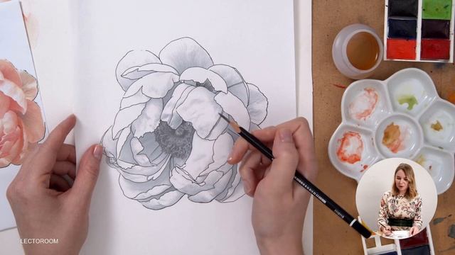 Рисуем пион акварелью  Ботаническая живопись с нуля