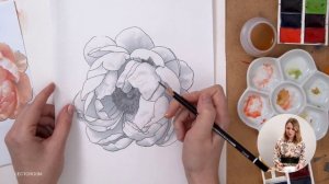 Рисуем пион акварелью | Ботаническая живопись с нуля