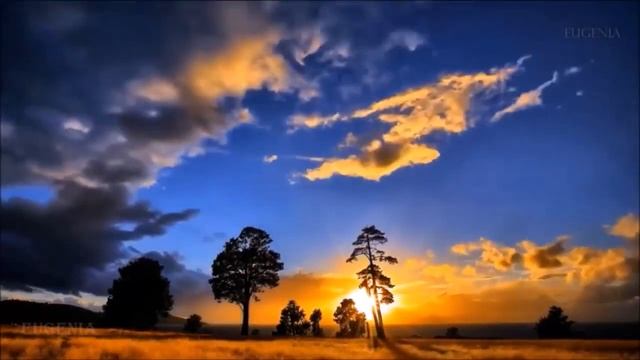 ЭТУ ПЕСНЮ ИЩУТ ВСЕ! Реально ДУШУ РВЕТ! #music #musica #bass #car #video #sports music #motivation смотреть онлайн