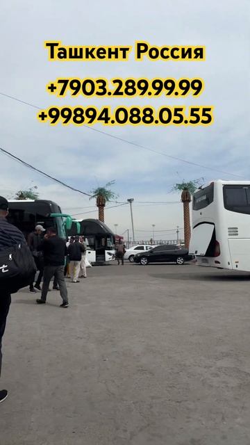 Ташкент Москва Краснодар Новосибирск Казань автобус # смотреть онлайн