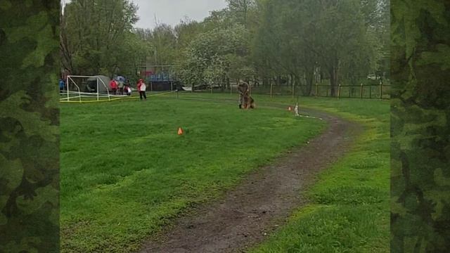 2.  выражено/пож ХУНД ХАУС ТРУБЕЦКОЙ АРЧИБАЛЬД (Xico v. Larchenhain – Zvezdislava Aus Vikwelt)