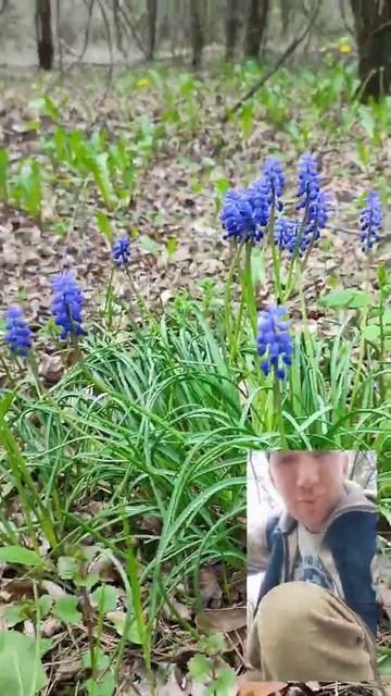 Красивые цветы в Киеве. 29.04.22 смотреть онлайн