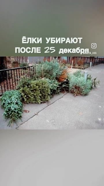 Американцы не отмечают Новый год😲?! #america #english #usa #амер смотреть онлайн