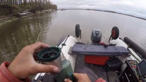 ДА ТУТ КРОКОДИЛОВ БОЛЬШЕ ЧЕМ КОРЯГ! Трофейная рыбалка поздней осенью