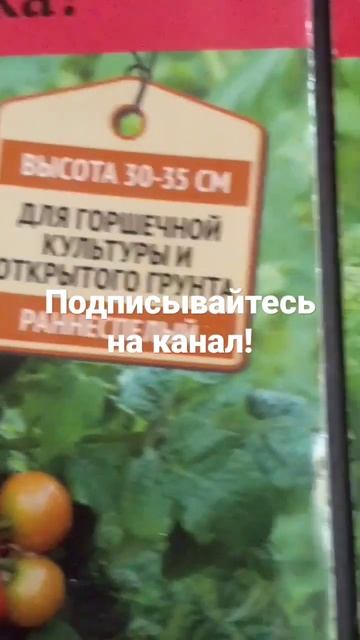 Ой, мама, я хочу такие помидоры! Огород на подоконнике. смотреть онлайн