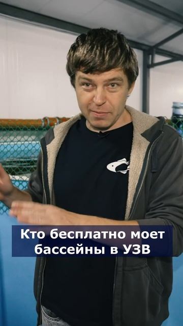 Кто бесплатно моет бассейны в УЗВ #система #узв #рыба #а смотреть онлайн