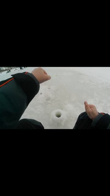 Наверное лещ  за трёшку.#ловлялеща #лещ #зимняяловляры?