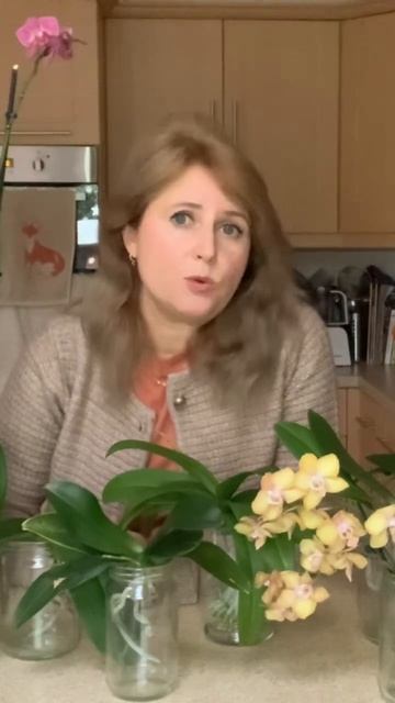 РИЗОИДЫ ИЛИ БЕЛЫЙ ПУШОК НА ОРХИДЕЯХ: почему возникает смотреть онлайн