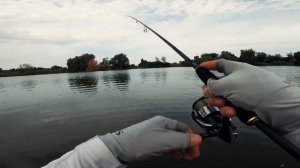 Hearty Rise PARAGON PA-802LL. Новинка 2024! Обзор