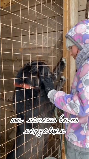 А у вас есть собака?🐶 смотреть онлайн