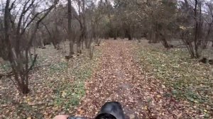 Его многие ждали, и теперь он доступен к заказу. 4Т двигатель мотороллера муравей с заводской СВПО