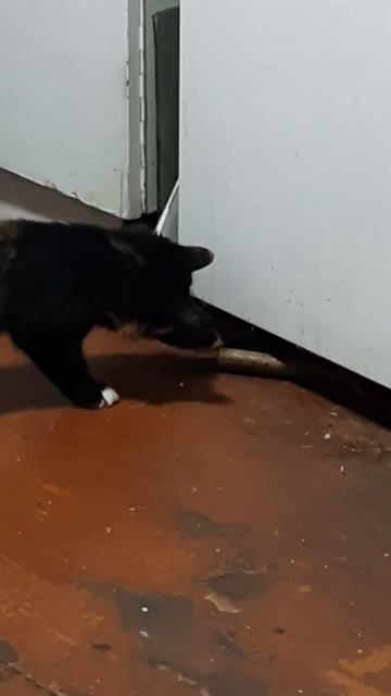 1 сентября 2022 г. смотреть онлайн