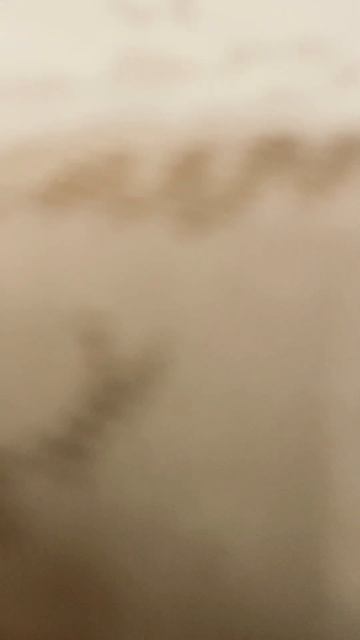 АКТИВ ПОЖАЛУЙСТА ОТ МЕНЯ ЛЮДИ ОТПИСЫВАЮТСЯ.. #реки #chat # смотреть онлайн