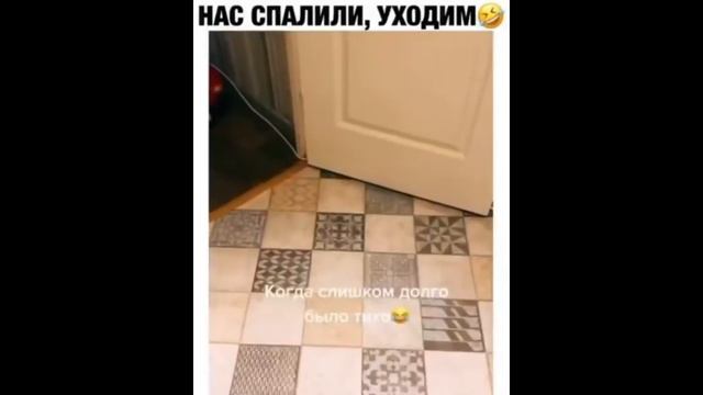 Лучшие приколы BEST CUBE №16 #memes #jokes смотреть онлайн