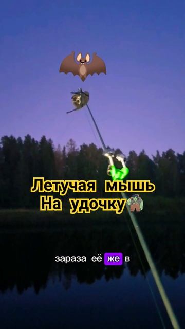 Летучая мышь, на удочку🦇 #рыбалка #летучаямышь #приро? смотреть онлайн