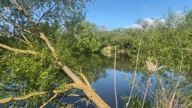 природа смотреть онлайн