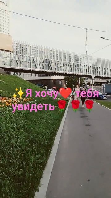 ✨Я хочу❤ тебя увидеть🌹🌹🌹#любовь#встреча#сказка#news смотреть онлайн